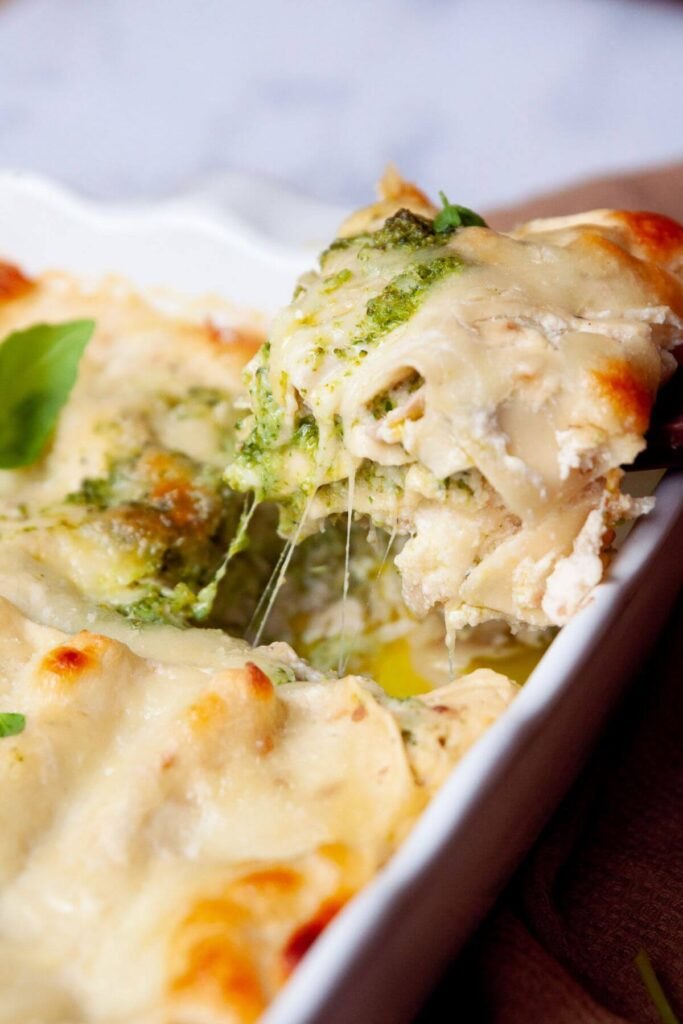 Chicken and Broccoli Lasagna Recipe