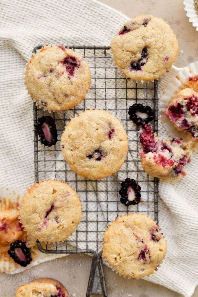 Blackberry Muffins Recipe